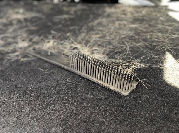 Pet Hair Brush